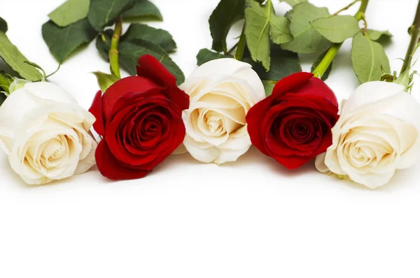 Κόκκινα και άσπρα τριαντάφυλλα που απομονώνονται σε λευκό — Φωτογραφία Αρχείου