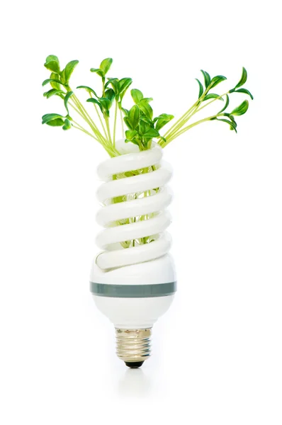 Lampada a risparmio energetico con piantina verde su bianco — Foto Stock