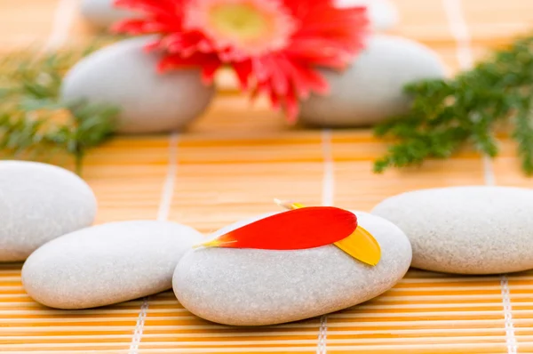 Red flower and stack of spa pebbles — Stock Photo, Image