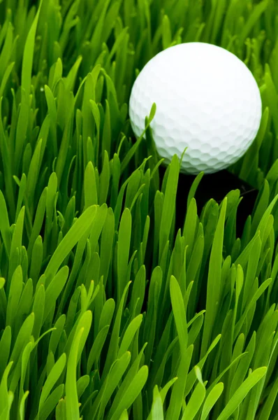 Bola de golfe na grama verde — Fotografia de Stock