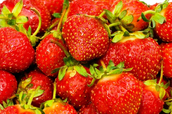Beaucoup de fraises disposées comme arrière-plan — Photo