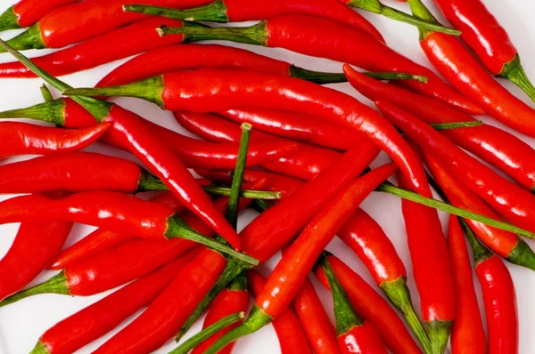 Piros chili paprika rendezett a háttérben — Stock Fotó