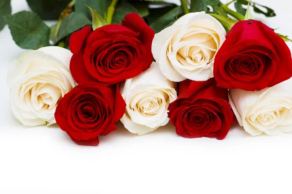 Rosas rojas y blancas aisladas sobre blanco — Foto de Stock