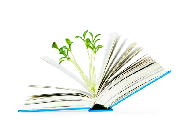 Kennis concept met boeken en zaailingen — Stockfoto