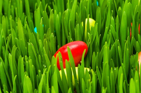 Stock image Easter concept - colourful eggs in green glass