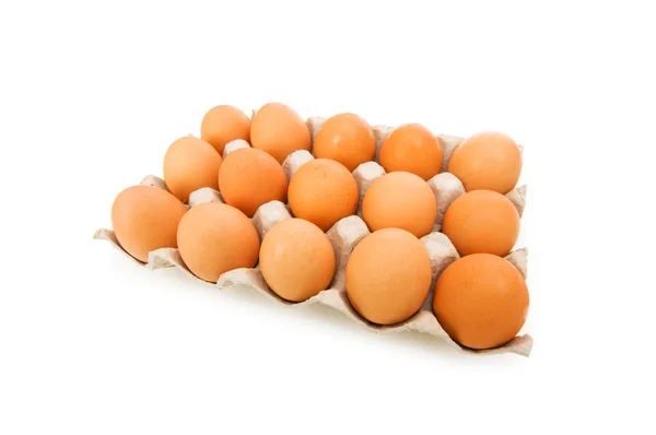 Lotes de ovos na caixa de cartão isolados em branco — Fotografia de Stock