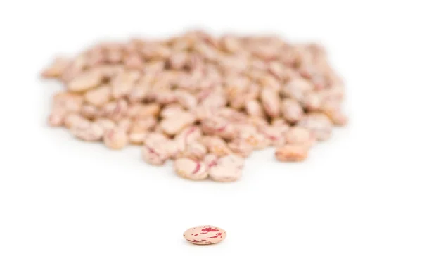 Hromada fazolí uspořádaných jako pozadí — Stock fotografie