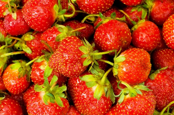 Massor av jordgubbar arrangerade som bakgrund — Stockfoto