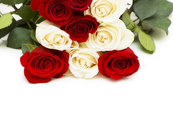 Roses rouges et blanches isolées sur blanc — Photo