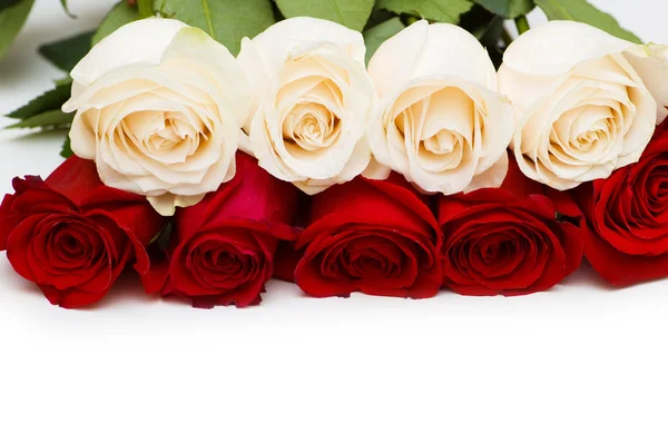 Beyaz izole kırmızı ve beyaz güller — Stok fotoğraf