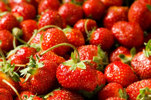 Viele Erdbeeren als Hintergrund arrangiert — Stockfoto