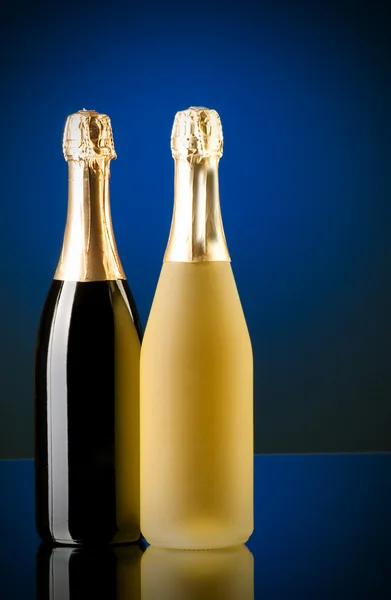 stock image Champagne against color gradient background