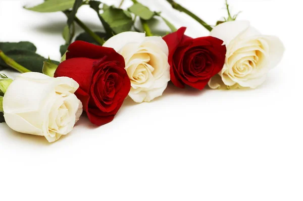 Rose rosse e bianche isolate su bianco — Foto Stock