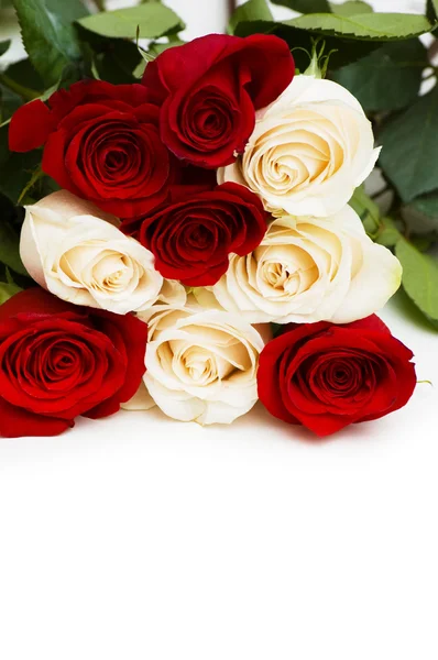 Rosas rojas y blancas aisladas sobre blanco —  Fotos de Stock