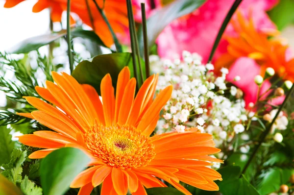 오렌지 gerbera 꽃 agaisnt 녹색 배경 흐리게 — 스톡 사진