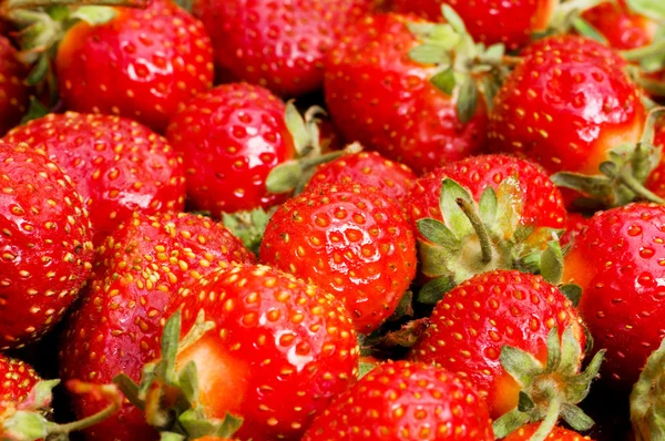 Beaucoup de fraises disposées comme arrière-plan — Photo