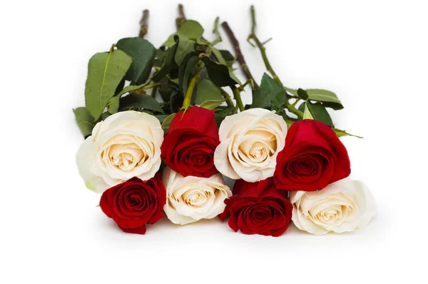 Rose rosse e bianche isolate su bianco — Foto Stock
