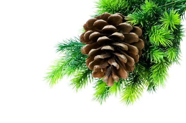 Cono e albero di Natale isolato — Foto Stock
