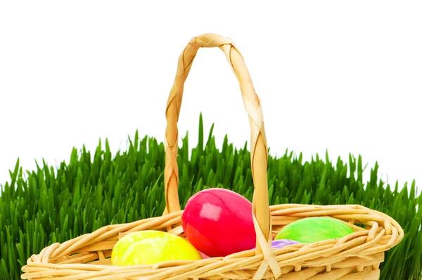 Eier im Korb und Gras — Stockfoto