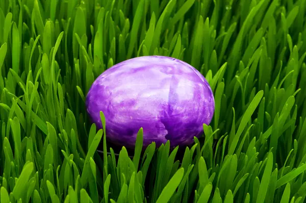 Paskalya kavramı - renkli yumurta — Stok fotoğraf