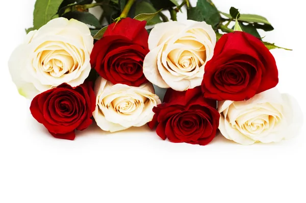 Rote und weiße Rosen isoliert auf weißen — Stockfoto