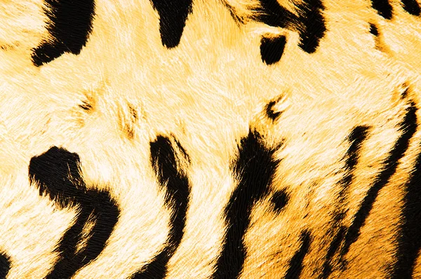 背景として虎革の模倣 — ストック写真