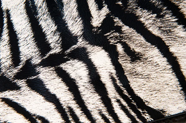 Imitation von Tigerleder als Hintergrund — Stockfoto