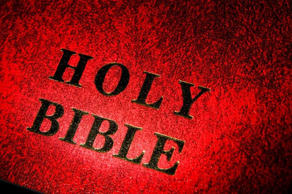 Red leather cover of the Bible book — Stock Photo, Image