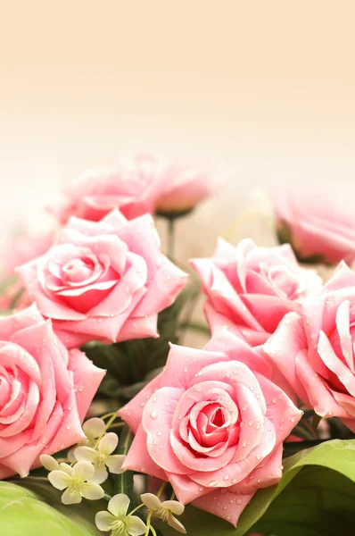 Svatba a valentine koncept s mnoha růžové růže — Stock fotografie