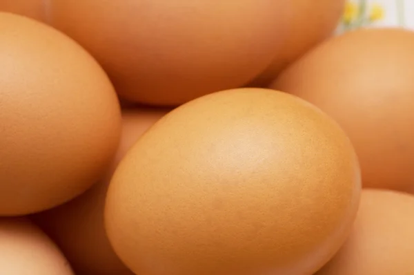Kahverengi yumurta ile sığ dof yakın çekim — Stok fotoğraf