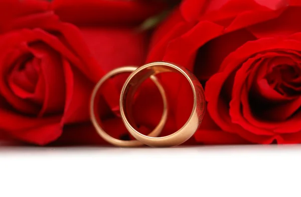 Красные розы и кольца изолированы на белом фоне — стоковое фото