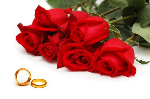 Rosas rojas y anillos aislados en el fondo blanco — Foto de Stock