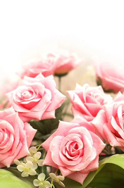 Conceito de casamento e Valentim com muitas rosas rosa — Fotografia de Stock