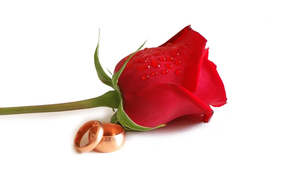 Concetto di matrimonio e San Valentino con rosa e anelli — Foto Stock