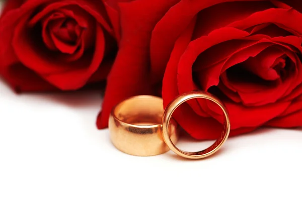 Złote pierścienie i czerwone róże izolowane na białym — Zdjęcie stockowe