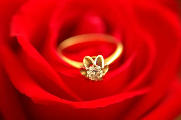 Anillo de diamantes sobre el capullo de la rosa roja - profundidad de campo poco profunda —  Fotos de Stock