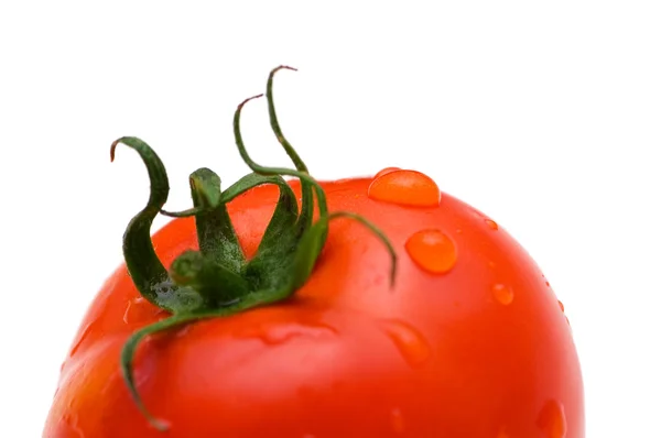 Su damlaları üzerine beyaz izole kırmızı domates — Stok fotoğraf