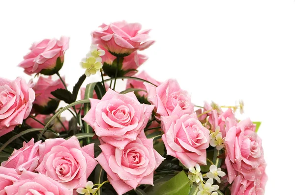 Ροζ τριαντάφυλλα που απομονώνονται σε λευκό φόντο — Φωτογραφία Αρχείου