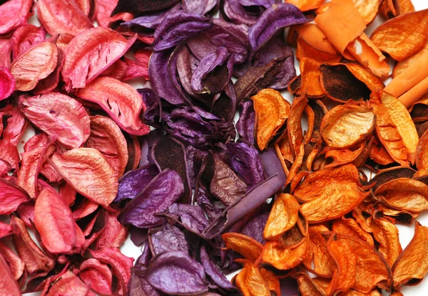 Fondo con tres colores de hojas secas —  Fotos de Stock