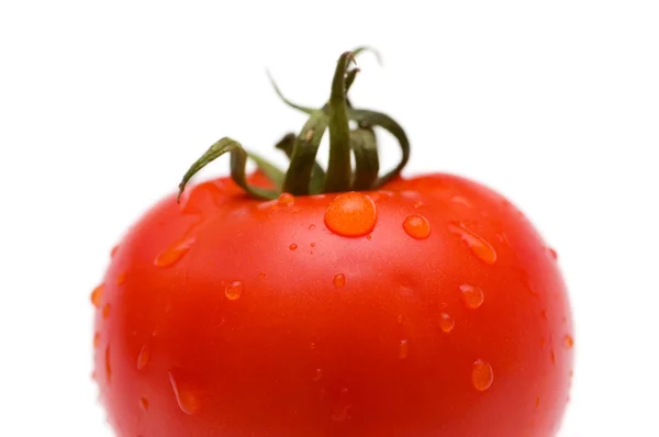 Czerwony pomidor na białym tle na białym tle — Zdjęcie stockowe