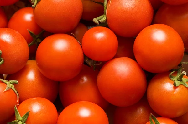 Czerwone pomidory - może być używany jako tło — Zdjęcie stockowe