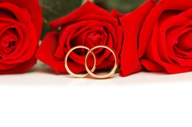 Two wedding rings and red roses isolated on white