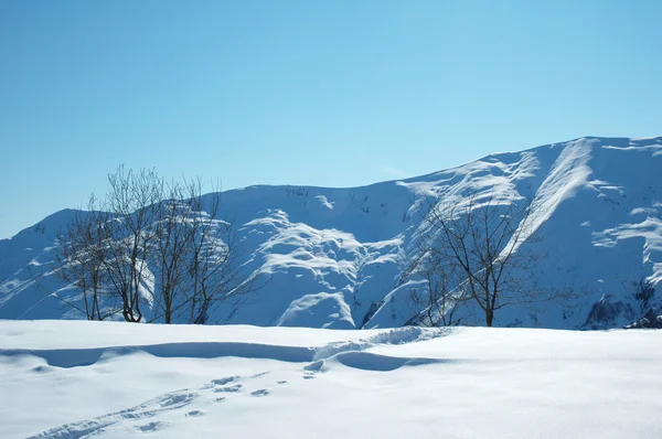 Hautes montagnes sous la neige en hiver — Photo