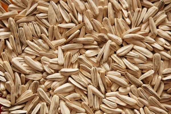 Lots of sunflower seeds arranged as background — Stock Photo, Image