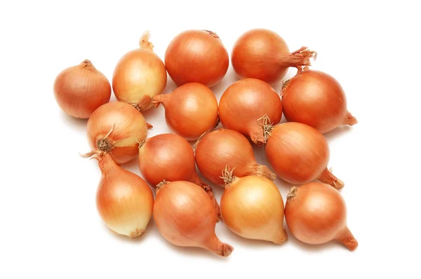 Dużo cebuli na białym tle — Zdjęcie stockowe