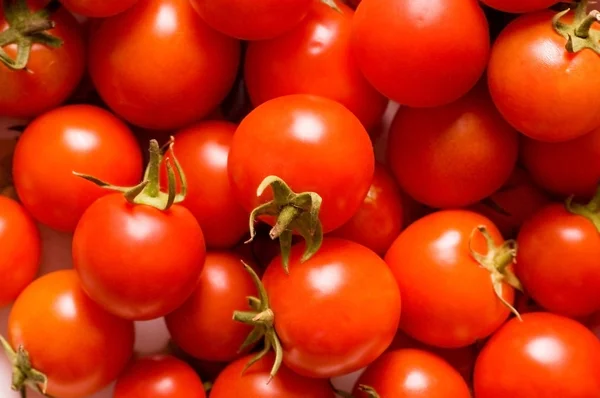 Tomates vermelhos - podem usar-se como contexto — Fotografia de Stock