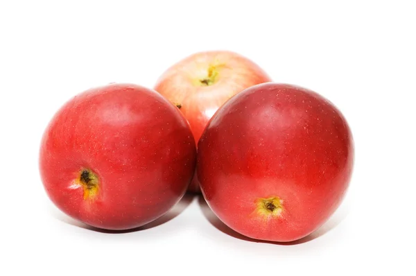 Drie rode appels geïsoleerd op de witte — Stockfoto