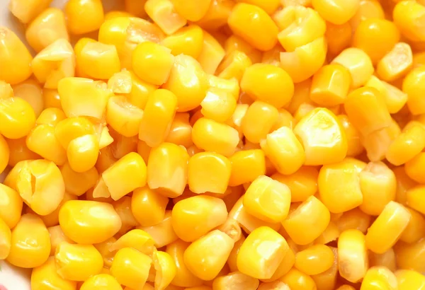 Sweet corn kernels arranged as background — Stock Photo, Image