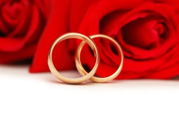 Dos anillos de boda y rosas rojas aisladas en blanco — Foto de Stock