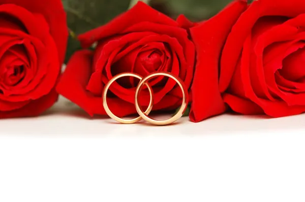 Dos anillos de boda y rosas rojas aisladas en blanco — Foto de Stock